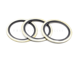 廣州黑色非自定芯組合墊圈廠家批發(fā)