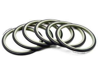 大型格萊圈斯特封廠家定制