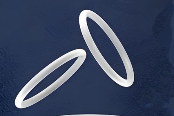 X型圈的關(guān)鍵性能、基本原理和實際應(yīng)用 圖2